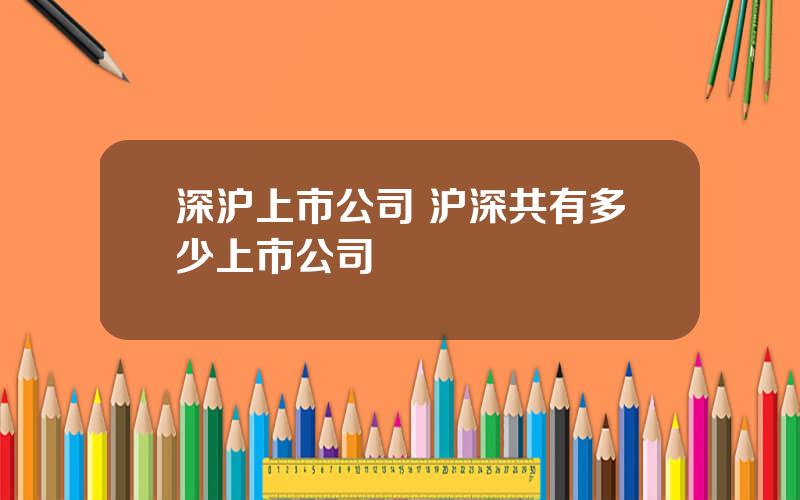 深沪上市公司 沪深共有多少上市公司